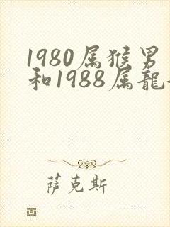 1980属猴男和1988属龙女的婚姻