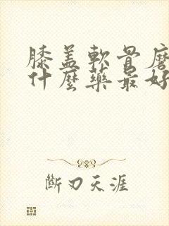 膝盖软骨磨损吃什么药最好