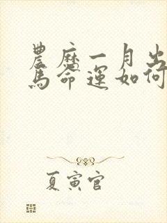 农历一月出生的马命运如何