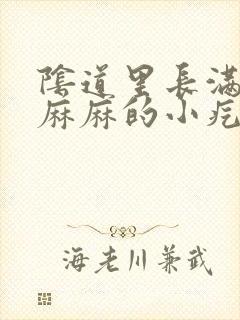 阴道里长满密密麻麻的小疙瘩怎么回事