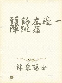 头的左边一阵一阵跳痛封面