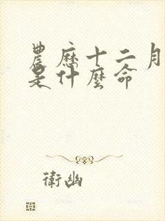 农历十二月初六是什么命