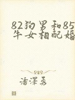 82狗男和85牛女相配婚姻如何
