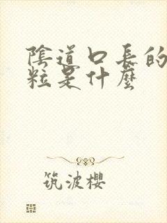 阴道口长的小肉粒是什么