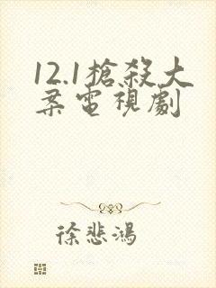 12.1枪杀大案电视剧封面