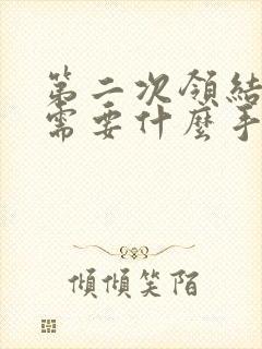 第二次领结婚证需要什么手续