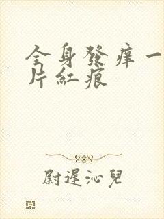 全身发痒一挠一片红痕