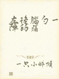 左后脑勺一阵一阵的痛