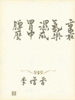 脾胃湿气重吃什么中成药最好