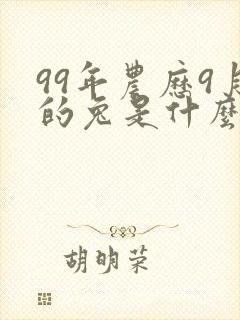 99年农历9月的兔是什么命