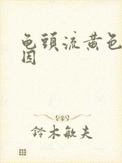 龟头流黄色脓原因