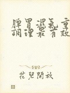 脾胃湿气重如何调理最有效