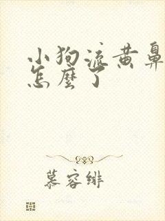 小狗流黄鼻涕是怎么了