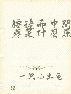 腰后面中间骨头疼是什么原因