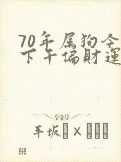 70年属狗今天下午偏财运