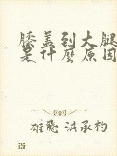 膝盖到大腿根疼是什么原因封面