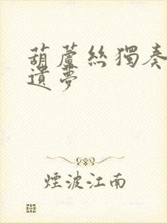 葫芦丝独奏柳江遗梦