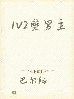 1V2双男主