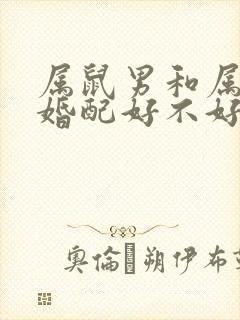 属鼠男和属兔女婚配好不好