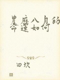 农历八月的狗女命运如何封面