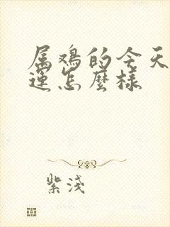 属鸡的今天偏财运怎么样