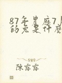 87年农历7月的兔是什么命