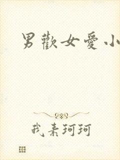 男欢女爱小说