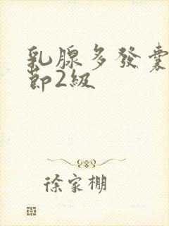 乳腺多发囊性结节2级