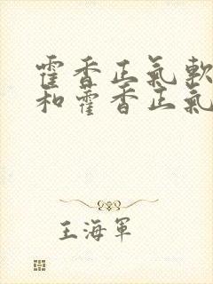 霍香正气软胶囊和藿香正气胶囊的区别