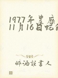 1977年农历11月16日蛇的命运及财运