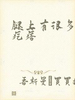 腿上有很多小红疙瘩封面