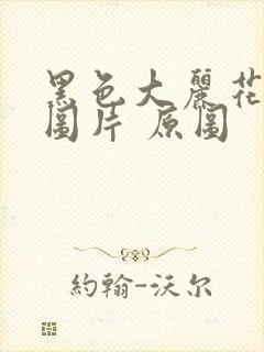 黑色大丽花真实图片 原图