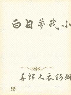白日梦我小说封面