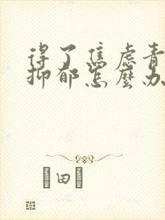 得了焦虑青少年抑郁怎么办封面