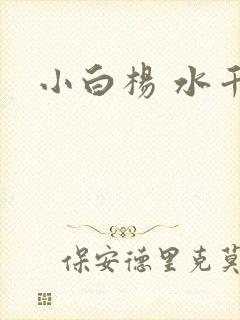 小白杨 水千丞