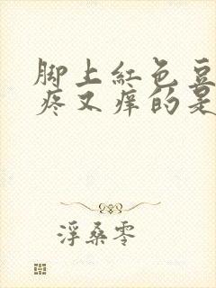 脚上红色豆豆又疼又痒的是什么