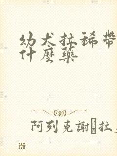 幼犬拉稀带血吃什么药封面