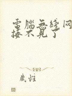 电脑无线网络连接不见了