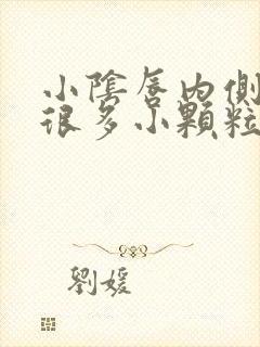 小阴唇内侧长了很多小颗粒特别痒封面