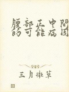 腹部正中间疼痛的可能病因