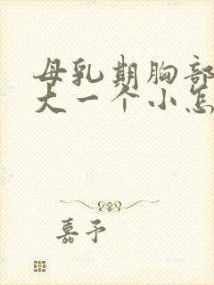 母乳期胸部一个大一个小怎么办