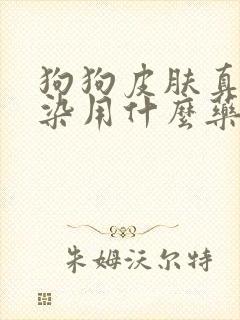 狗狗皮肤真菌感染用什么药