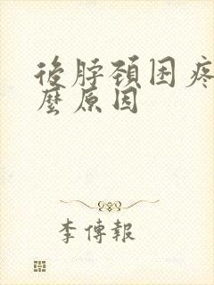 后脖颈困疼是什么原因