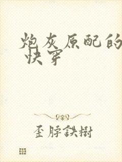 炮灰原配的人生 快穿