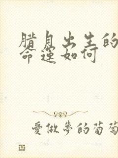 腊月出生的狗男命运如何