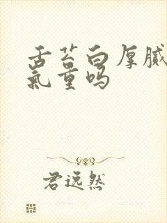 舌苔白厚腻是湿气重吗