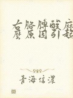 右胳膊酸麻痛什么原因引起的