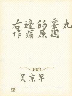 右边的睾丸隐隐作痛原因