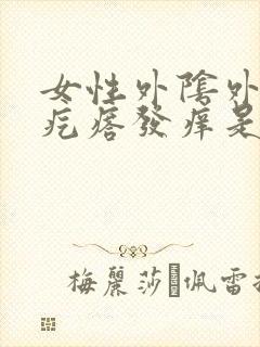 女性外阴外有小疙瘩发痒是怎么回事事