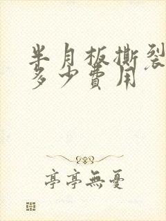 半月板撕裂手术多少费用